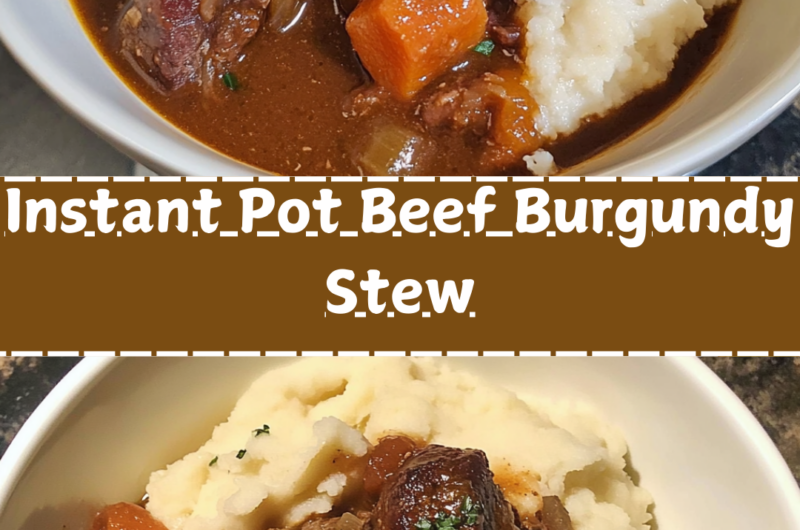 Instant Pot Beef Burgundy Stew